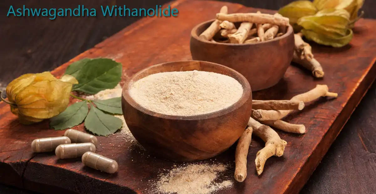 Ashwagandha Withanolide Factory.jpg